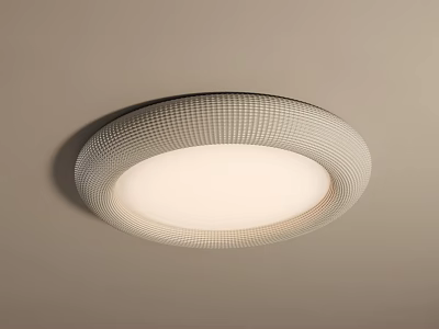 Modern Round Ceiling Light With Grid Pattern Shade Soft Illumination For Interior 3d model