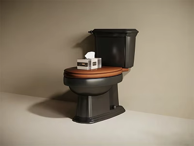 Black Toilet With Brown Wooden Seat And Tissue Box On Top In Clean Bathroom 3d model