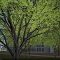 Modern Office Building Featuring Glass Curtain Walls Contemporary Facade And Green Surroundings