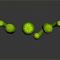 Three Green Cactus Plants With Columnar And Round Shapes On Gray Background