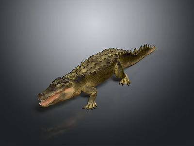 Detailed Crocodile Reptile With Scaly Skin Open Mouth And Long Tail 3d model