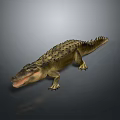 Detailed Crocodile Reptile With Scaly Skin Open Mouth And Long Tail