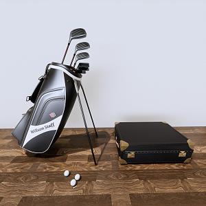 Modern Golf Club Golf Club Bag Suitcase 3d model