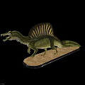 Realistic Spinosaurus Dinosaur Model With Green Yellow Skin And Sail Back Structure Standing On Display Base