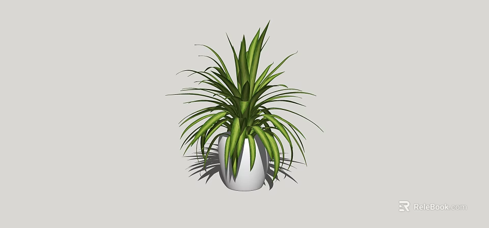 Bonsai Potted Plant With Green Slender Leaves In White Ceramic Pot 3d model 