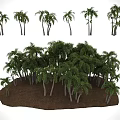 Diverse Palm Trees Featuring White Trunks Green Fronds Growing On Brown Soil 3d model