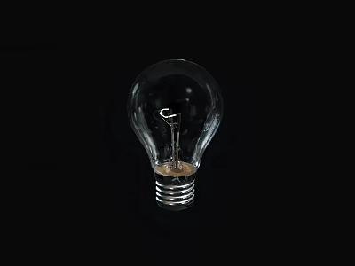 Clear Transparent Glass Light Bulb on Black Background with Visible Filament 3d model