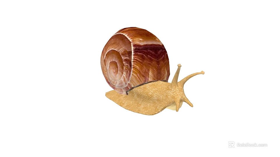 Reptile With Brown Spiral Shell And Yellow Body Crawling On White Background 3d model 