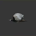 Natural Wood and Stone Material with Rough Gray Surface and Unique Natural Texture