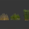 Various Types of Grass Clumps in Green and Brown for Landscaping Design Elements