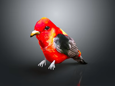 Vibrant Red Bird With Yellow Head Black Wings And White Claws 3d model