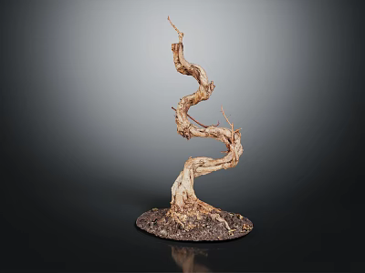 Natural Curved Wood Sculpture With Stone Base For Decorative 3d model