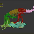 Medical Educational Dinosaur Skeleton Model For Anatomy Teaching And Research