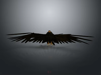 Majestic Black Eagle Spreading Large Wings With Reflection On Gray Background 3d model