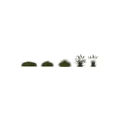 Ornamental Decorative Grass Set With Green Foliage And White Plumes
