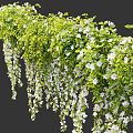 Modern hanging basket plant hanging 3d model