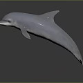 Leaping Dolphin 3D Model With Light Gray Color Dark Background And Reflection 3d model
