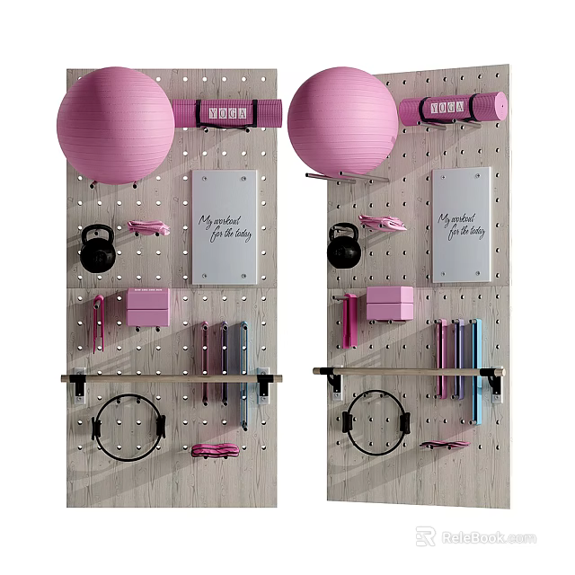 Wall Mounted Sports Equipment Pegboard With Pink Exercise Balls Dumbbells And Yoga Rings 3d model 