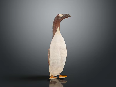 Penguin Figurine With Brown Head White Body And Yellow Feet Standing On Dark Background 3d model