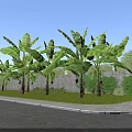 Rural Landscape With Lush Banana Trees Green Grass And Stone Wall Under Clear Blue Sky
