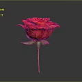 Vibrant Red Rose Flower With Green Stem And Leaves On Gray Background