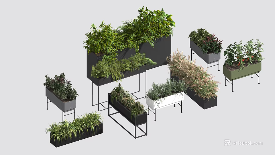 Modern Bonsai Potted Plants With Decorative Planters Metal Stands and Green Foliage 3d model 