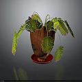Indoor Wooden Planter With Green Monstera Leaves And Decorative Tray