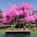 Park Landscape Featuring Pink Cherry Blossom Tree Treehouse Water Area Grassland and Blue Sky