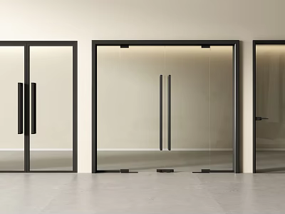 Modern Glass Double Doors With Black Frames In Minimalist Interior Design 3d model