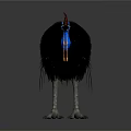Cassowary Bird With Red Casque Blue Head Yellow Wattle And Black Feathers