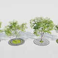 Circular Tree Pit Designs With Lush Green Trees And Patterned Concrete Bases 3d model