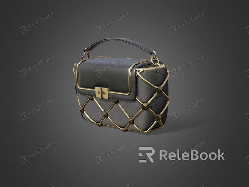 Modern Leather Handbag model