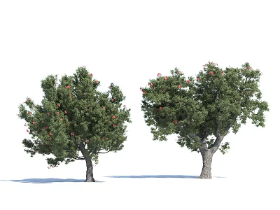 Two Arbor Trees With Green Leaves And Red Fruits In Natural Landscape 3d model