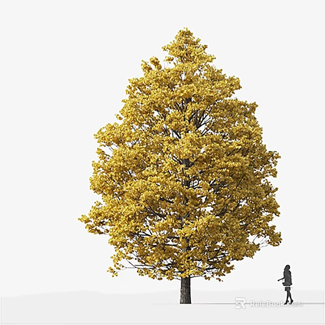 Large Arbor With Vibrant Yellow Leaves Against White Sky And Person Silhouette 3d model 