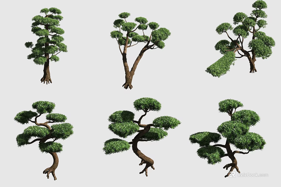 Bonsai Plants With Various Styles Unique Tree Shapes And Lush Green Foliage 3d model 