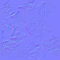 Two Griffin Figures Standing On Checkerboard Floor With Blue Sky And Ocean