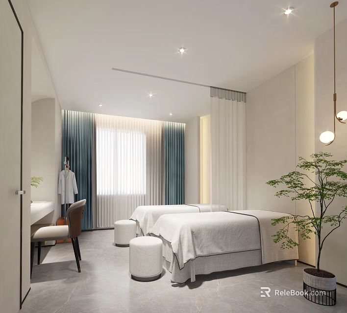 Minimalist Modern SPA Room Interior With Two Massage Beds Curtains Plant And Mirror 3d model 