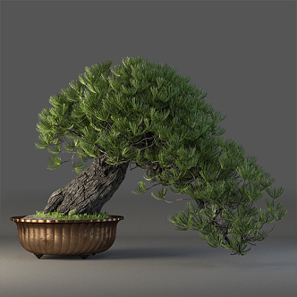 Bonsai 3d model