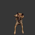 Brown Game Movie Character Dog In Standing Pose With Gray Background