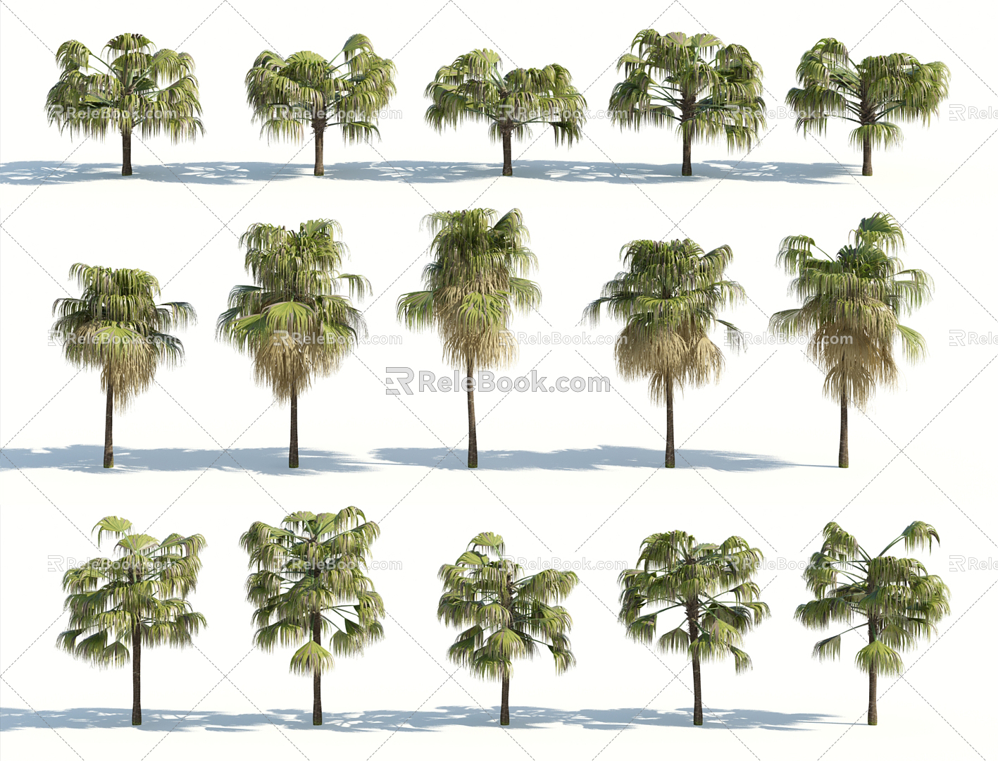 Modern Palm Tree 3d model