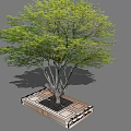 Tree Pit With Decorative Stone Frame Green Foliage And Black Soil 3d model