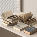 Books 3d model