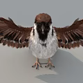 Realistic Sparrow High Precision Bird Flying Bird 3d model