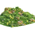 Lush Green Plants And Vibrant Colorful Flowers In Circular Decorative Arrangement