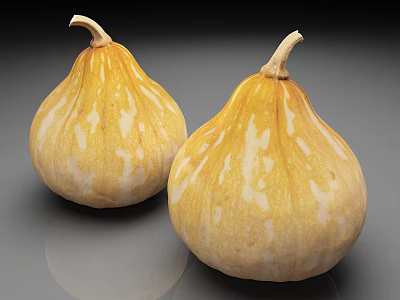 Two Yellow Striped Pear Shaped Pumpkins With Stems On Gray Background 3d model