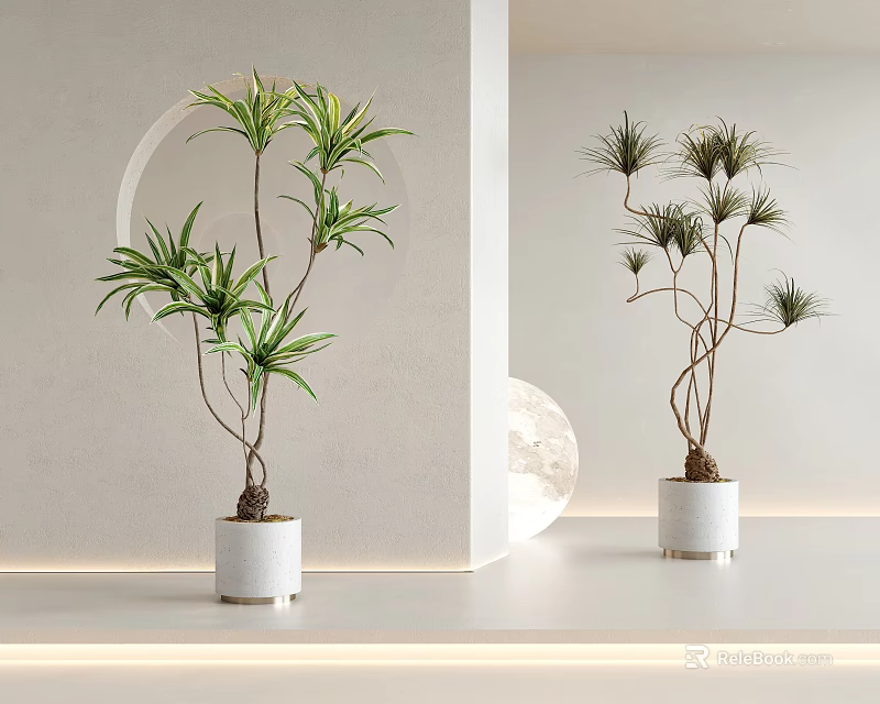 Indoor Bonsai Potted Plants In White Ceramic Pots For Modern Minimalist Interior Decor 3d model 