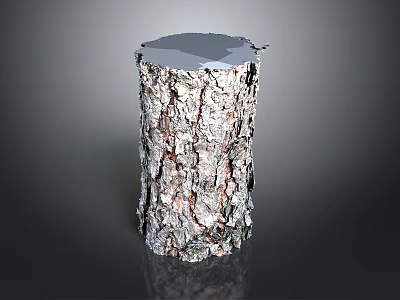 Natural Wooden Stump Decorative Item With Rough Bark And Smooth Top Surface 3d model