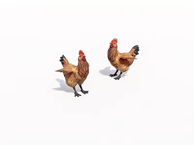 Brown Chicken Figurines With Red Combs And Black Legs Standing On White Background 3d model