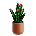Green Cactus Plant with Pink Flowers Growing in Brown Ceramic Pot