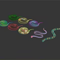 Colorful Snakes in Various Colors Coiled and Stretched on Dark Background